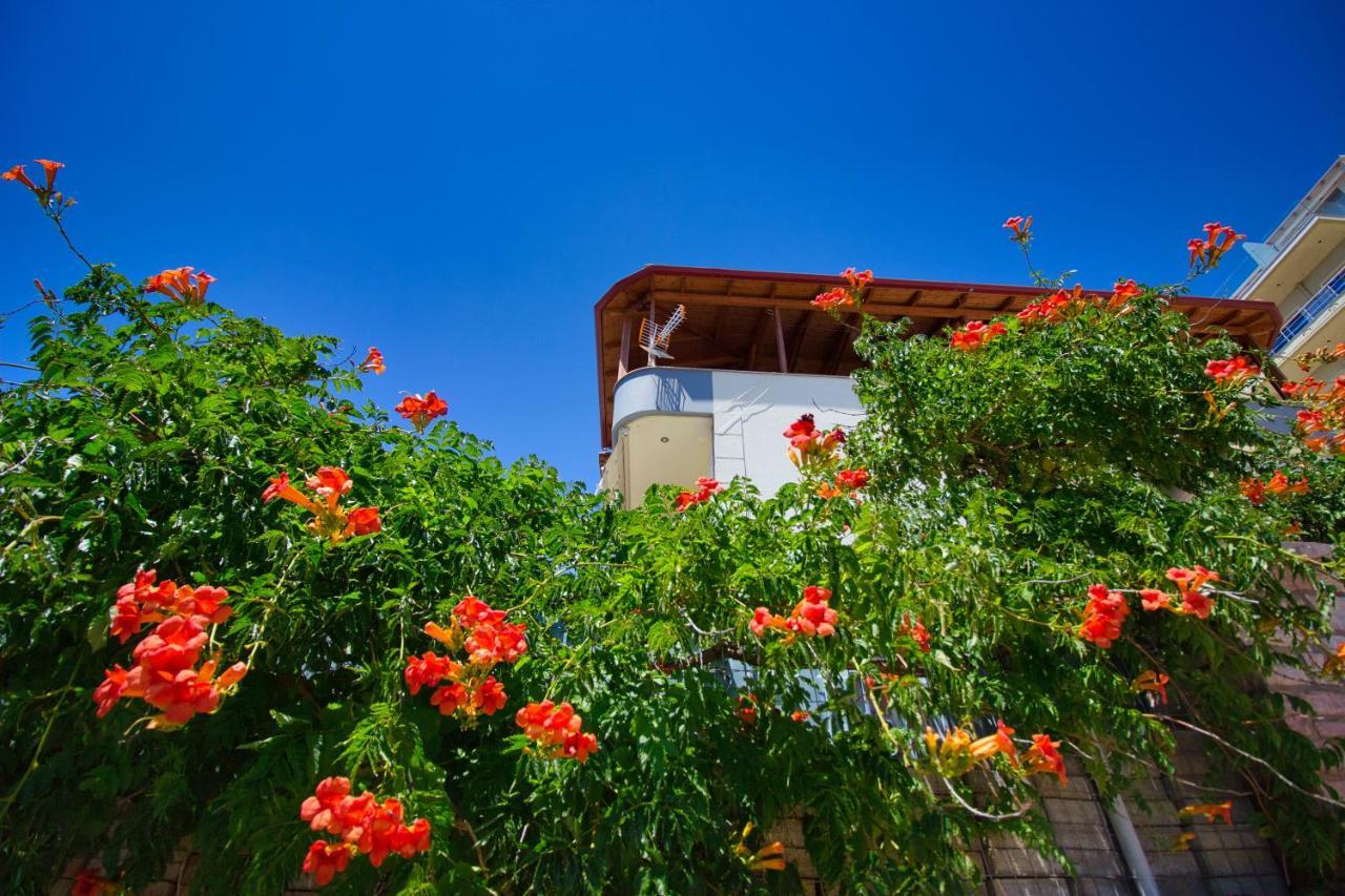 Villa Roel Sarandë Exterior foto